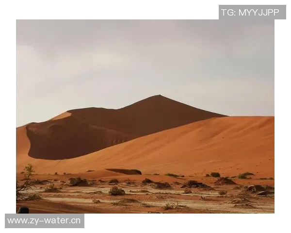 南非与纳米比亚激战正酣谁能在这场较量中脱颖而出