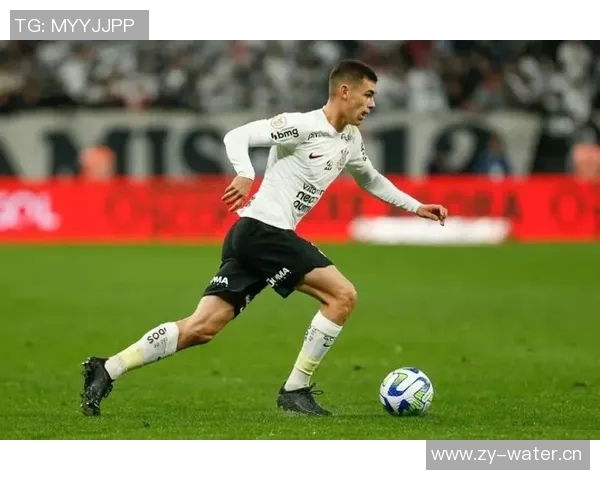 赖斯的崛起与影响力分析：从学术界到政坛的多重角色探讨