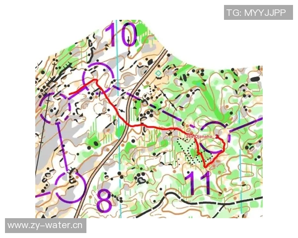 匈牙利与芬兰对决分析及笔者推荐策略详解