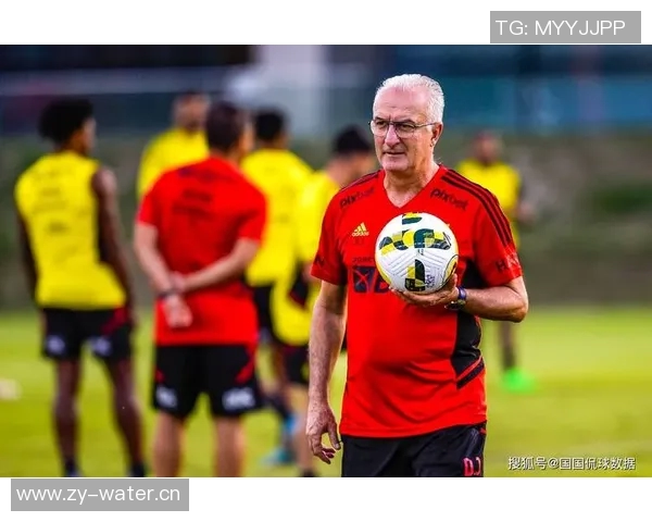 贺芬咸与里昂对决前瞻分析及比赛结果预测全解析