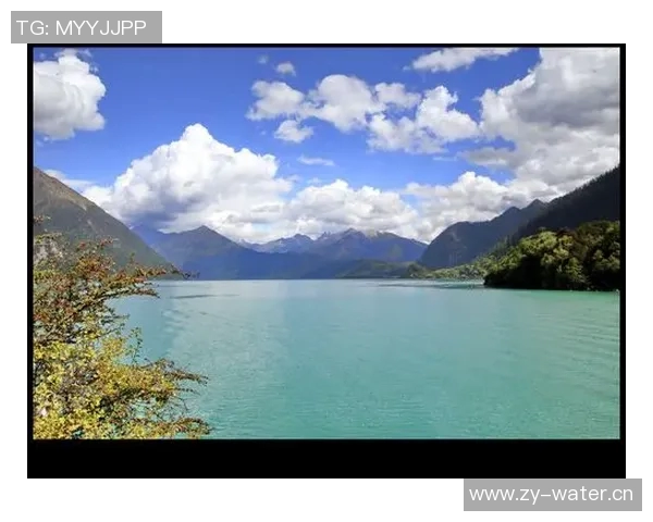 加莱诺的艺术魅力与文化影响力探讨与分析 加莱诺的艺术魅力与文化影响力探讨与分析