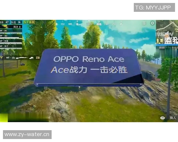 和平精英战术解析:RNG如何构建高效区域防守体系 和平精英战术解析:RNG如何构建高效区域防守体系