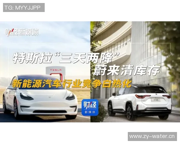 国外热议特斯拉与蔚来竞争态势分析及未来发展趋势探讨