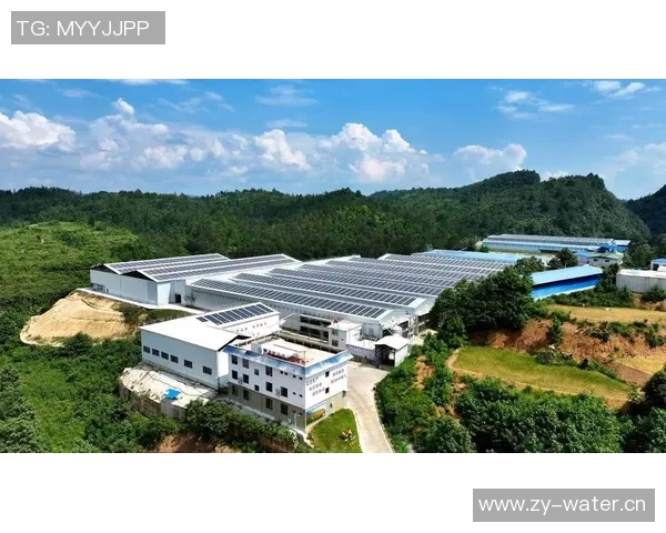 广州攀岩队的成功运营模式与发展策略全解析