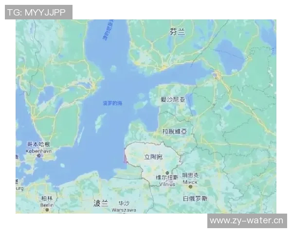 白俄罗斯与立陶宛的历史交锋与未来展望分析