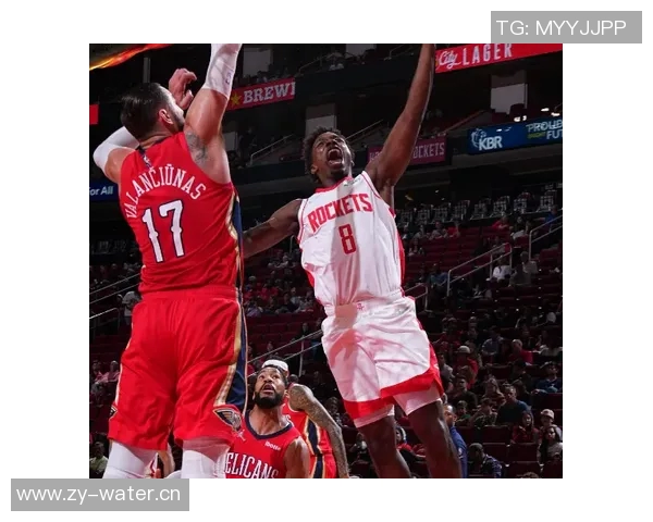 鹈鹕对阵热火精彩赛事在线直播全程回放与赛后分析